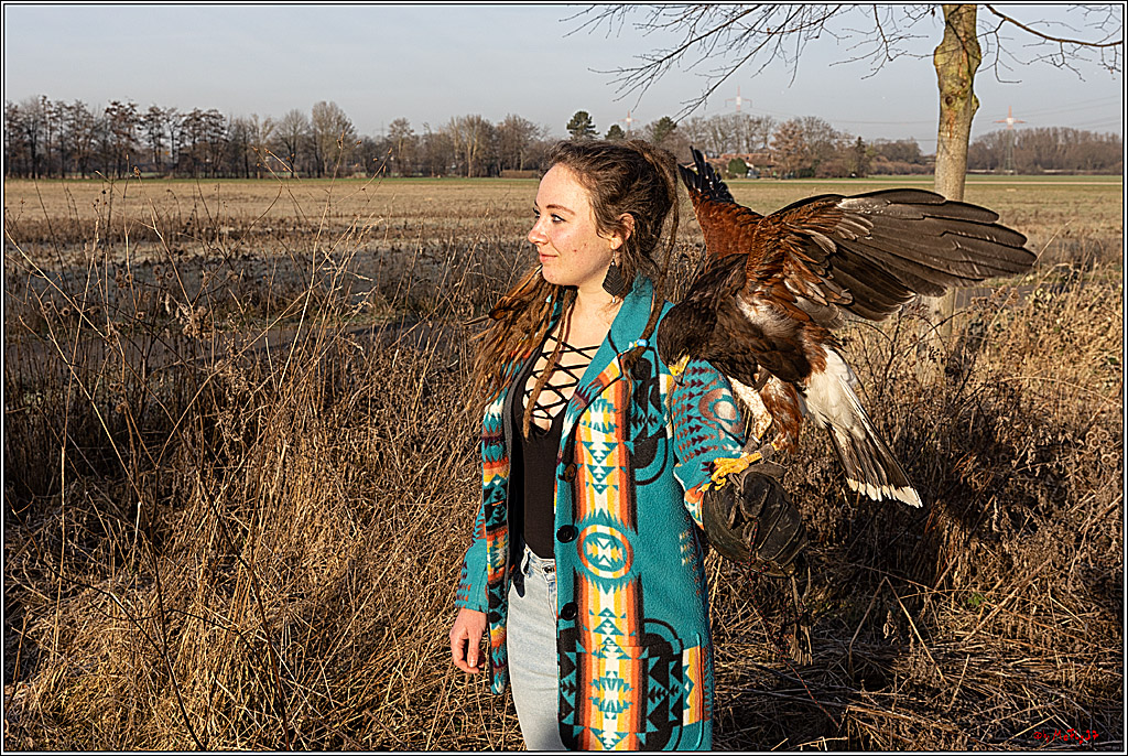 Cheyenne-Halbblut Hunting Wolf in der Falknerei Pierre Schmidt; Gymnich, 09.02.2023